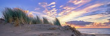 côte avec la dune au coucher du soleil sur eric van der eijk