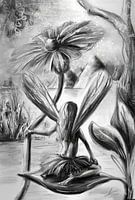 Fantasy illustration - Elf on a leaf - in grey and gold