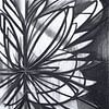 secrets-revealed-s003-9__2009 van Hans Zantman