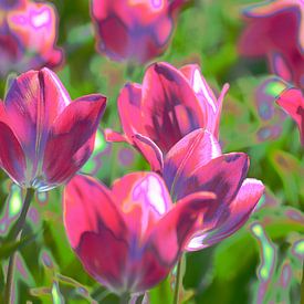 Mooie roze tulpen met sprankelend artistiek effect van Gerrit Pluister