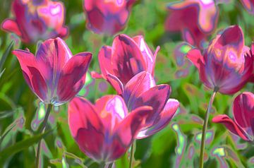 Mooie roze tulpen met sprankelend artistiek effect van Gerrit Pluister