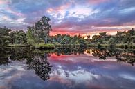 Rustig meer bij zonsondergang met rood gekleurde wolken van Tony Vingerhoets thumbnail