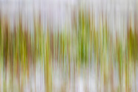 Lignes et couleurs sur Douwe Struiksma