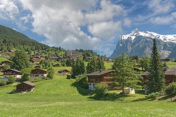 Grindelwald met Wetterhorn van Peter Eckert