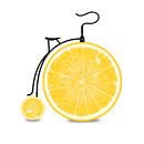 Frucht / Früchte: Orange - Orangen Fahrrad von Felix Brönnimann Miniaturansicht