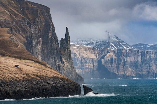 Trøllkonufingen, or witch's fingers in the Faroe Islands