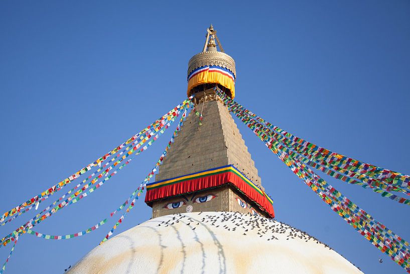 Bodnath Stupa à Katmandou, Népal par Jan Schuler