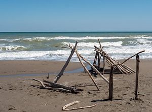 Adriatische Zee met drijfhout op het natuurlijke strand van Animaflora PicsStock