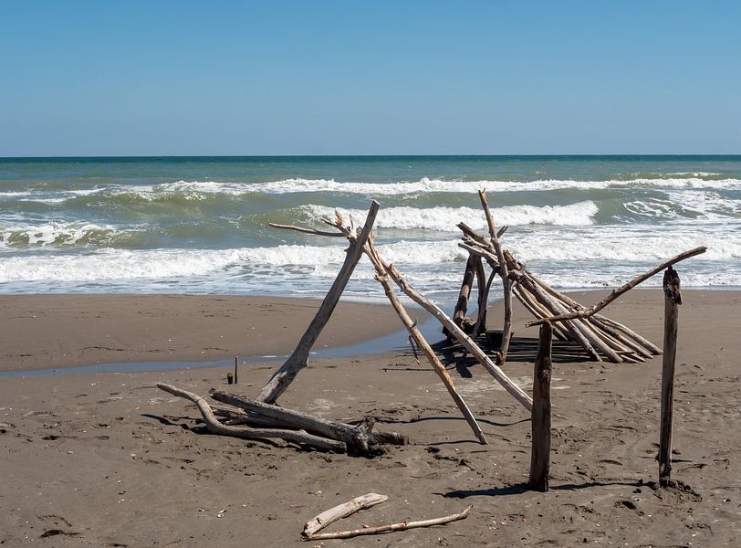 Adriatisches Meer mit Treibholz am Naturstrand von Animaflora PicsStock
