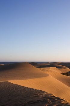 Die Dünen von Laspalomas bei Sonnenuntergang