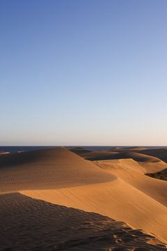 De duinen van Laspalomas bij zonsondergang van Benjamien t'Kindt