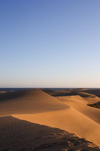 De duinen van Laspalomas bij zonsondergang