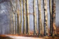 Door Het Bos