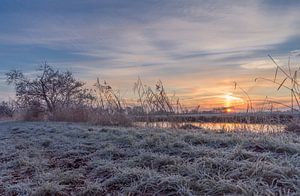 Winterse Zonsopkomst