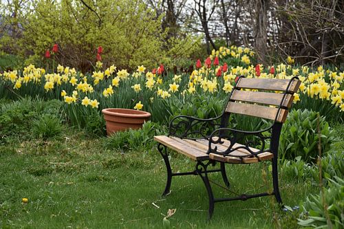 Een bankje in de tuin in het voorjaar
