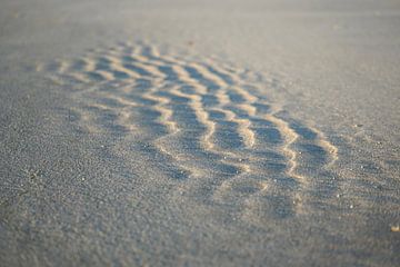 Strand van Co Bliekendaal