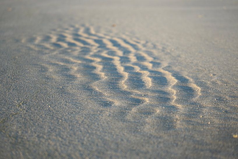 Strand van Co Bliekendaal