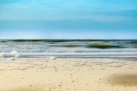 Het strand van Bergen aan Zee Noord-Holland