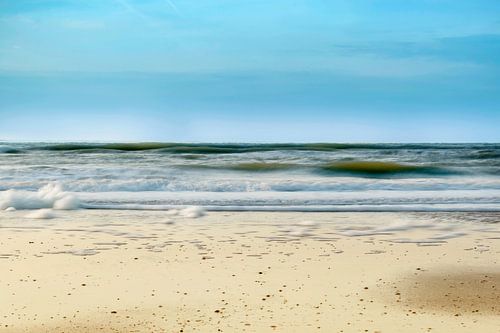 Het strand van Bergen aan Zee Noord-Holland
