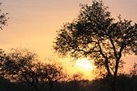 Zonsondergang Zuid Afrika