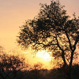 Zonsondergang Zuid Afrika von Wim Franssen