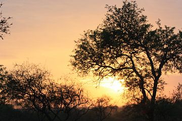 Zonsondergang Zuid Afrika van Wim Franssen