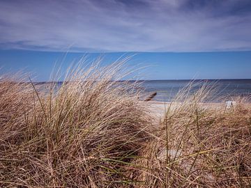Duinen op het strand aan de Oostzee in Duitsland van Animaflora PicsStock