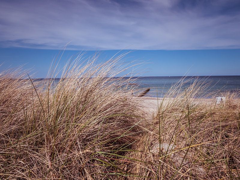 Dünen am Strand an der Ostsee in Deutschland von Animaflora PicsStock
