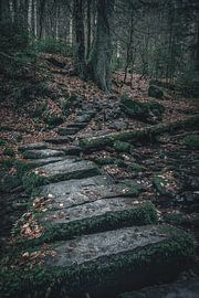 Stone bridge in the Monbach valley by GoodMoodPhotos