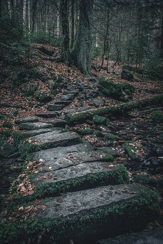 Steinbrücke im Monbachtal