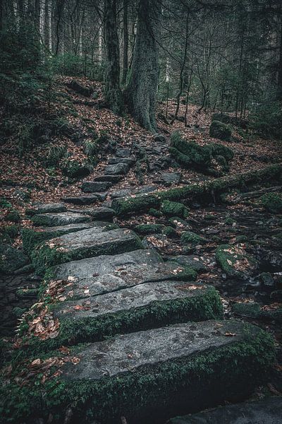 Steinbrücke im Monbachtal von GoodMoodPhotos