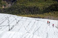 Glacier walk  von Menno Schaefer Miniaturansicht