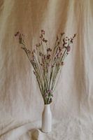 Still life dried flowers