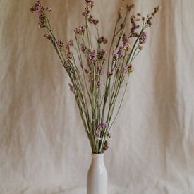 Stillleben getrocknete Blumen von Diewke Eerdekens