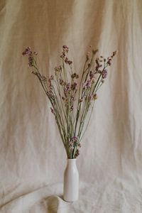 Still life dried flowers by Diewke Eerdekens