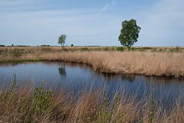 Engbertsdijksvenen by Lambertus van der Vegt