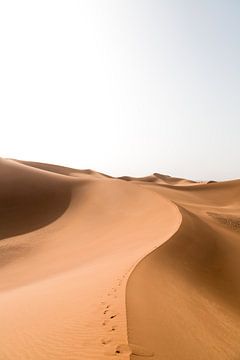 Sanddüne in der Sahara mit Fußabdrücken von Jarno Dorst