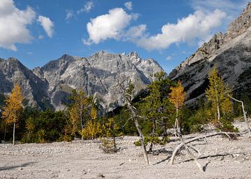Wild berglandschap in herfstachtig Wimbachgries van Christian Peters