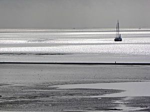 De wadden van Terschelling van Jessica Berendsen