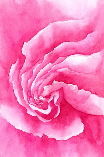 Rose rose en gros plan Peinture à l'aquarelle par Karen Kaspar