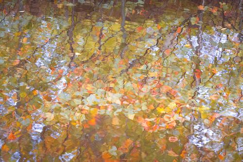 Herfst - reflectie bladeren in de beek