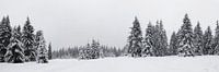 Harz panorama van Gerhard Niezen Photography thumbnail