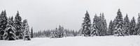 Harz panorama