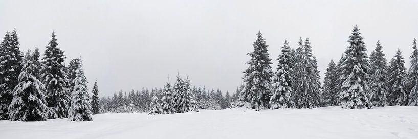 Harz panorama van Gerhard Niezen Photography