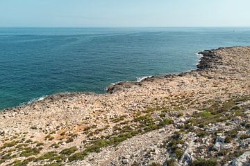 Blauwe kustlijn van Malta | Drone fotografie | Print Art | Ingelijste kunstdruk van Ylenia Di Pietra