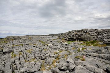 Eine Glaziokarstlandschaft von Frank's Awesome Travels