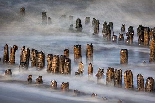 Groyne impression on the North Sea beach
