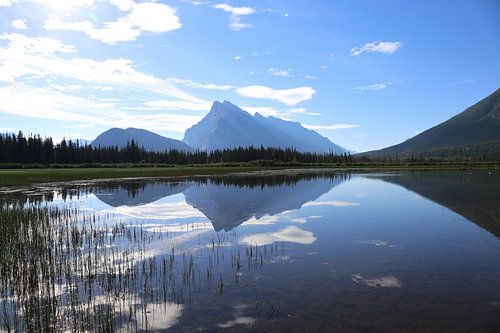 Silent Reflection - Mountain landscape in Cool Blue tones