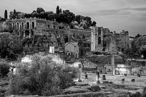 Palatijn en Forum Romanum te Rome