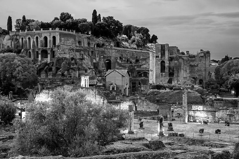 Palatine Hill and Roman Forum in Rome by Anton de Zeeuw